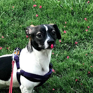 Meet your Posher, Julie